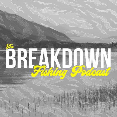 Episode 1: Interview with Joseph D'Addeo Episode 1: Interview with Joseph D'Addeo