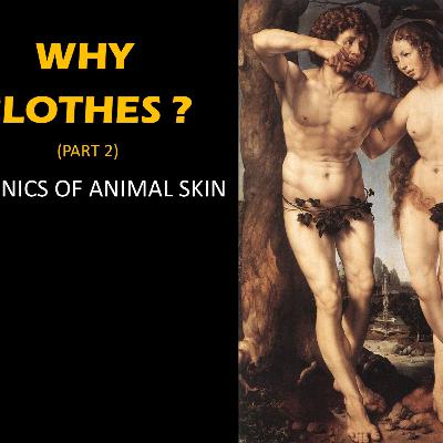 Why clothes? (part 2)