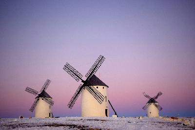 Ruta por los paisajes del vino en La Mancha: historia, pueblos y patrimonio