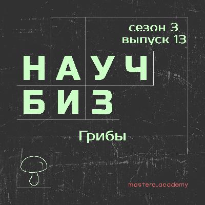 Почему грибы всех спасут
