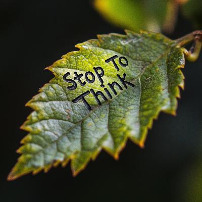 Stop To Think: Episode 185 - The Cult Of Safety Stop To Think: Episode 185 - The Cult Of Safety