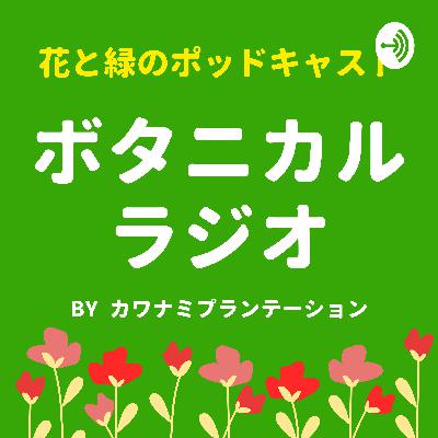 ボタニカルラジオの再開と「京都花便り」のお知らせ