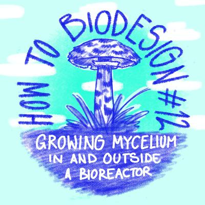 How To Biodesign #12 Growing mycelium in and outside a bioreactor