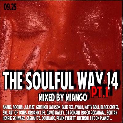 THE SOULFUL WAY 14 Pt1 THE SOULFUL WAY 14 Pt1