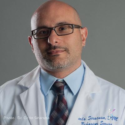 The Life of a Dog | With Dr. Carlo Siracusa, Professor of Small Animal Behavior and Welfare The Life of a Dog | With Dr. Carlo Siracusa, Professor of Small Animal Behavior and Welfare