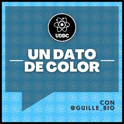 LA CELULA EUCARIOTA ANIMAL 🐱🦠¿Cómo son? partes - características | UDDC LA CELULA EUCARIOTA ANIMAL 🐱🦠¿Cómo son? partes - características | UDDC