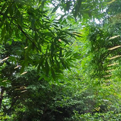 Vol.149 向自己提问：有过好2025年的8个证明