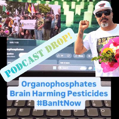 Omar Dieguez: Reflections After A Hunger Strike Against Pesticide Use Omar Dieguez: Reflections After A Hunger Strike Against Pesticide Use