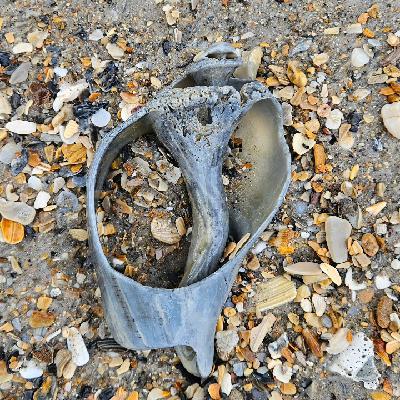 Breaking up is hard to do. And yet SO well worth it!! - EP67 Breaking up is hard to do. And yet SO well worth it!! - EP67