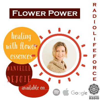 Flower Power Flower Power