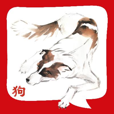 Der Lieblingshund des Kaisers | Weisheitsgeschichte aus China | erzählt von Luise Gündel Der Lieblingshund des Kaisers | Weisheitsgeschichte aus China | erzählt von Luise Gündel