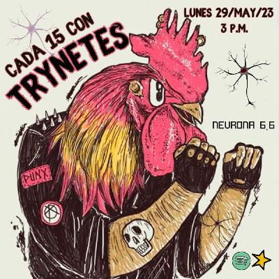 Cada 15 con Trynetes