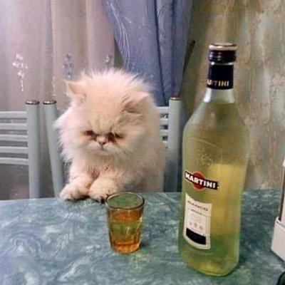 Miedos y fobias. 👻 Miedos y fobias. 👻