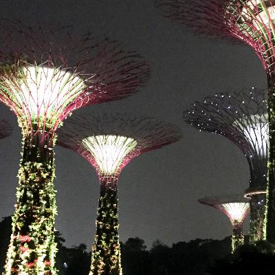 #08 Das Lied vom Glück – Gardens by the Bay, Singapur #08 Das Lied vom Glück – Gardens by the Bay, Singapur
