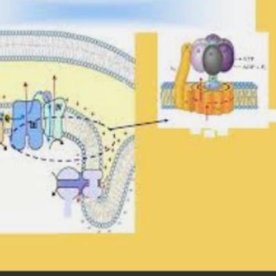 Юлиана Цветинович: "Мой муж взял декретный отпуск, чтобы я могла продолжить свою работу в Сколтехе"