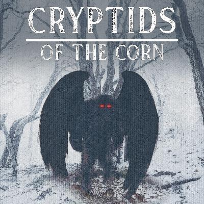 Black Bird Creatures of Var S.8 Ep.36