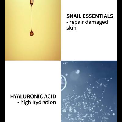 Holistic Beauty: Inside-Out Wellness + The Secrets of Snail Secretion