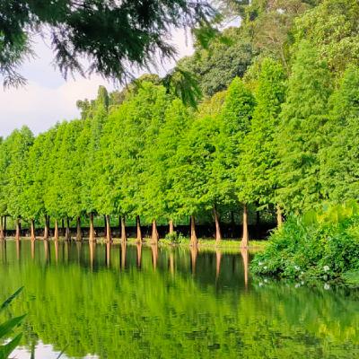 F17-1141118坤鐘校長高雄富國讀書會 活出奇蹟3