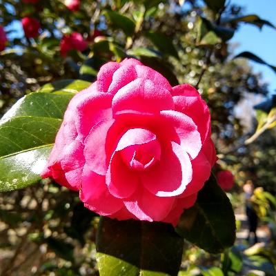 Chapter 11: Falling in love is a nightmare