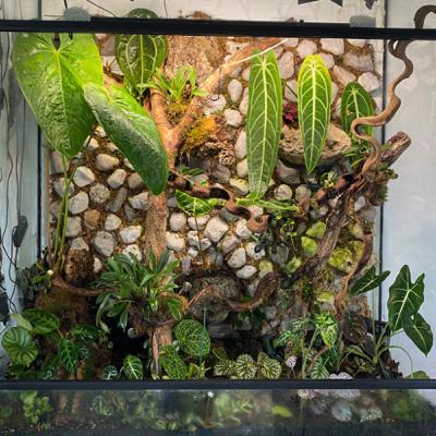 5. Terrariums