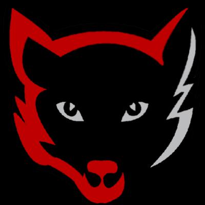 Daily Show Campaign Roundtable