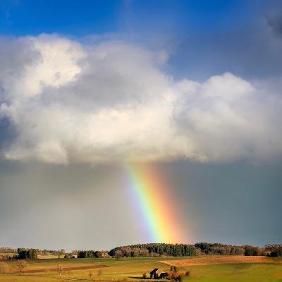 Завет в крови 13