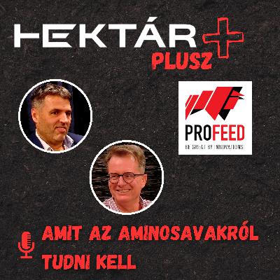 AMINOSAVAK: csodaszerek aszály ellen vagy pénzkidobás? – Tévhitek, sarlatánságok és élettani tények