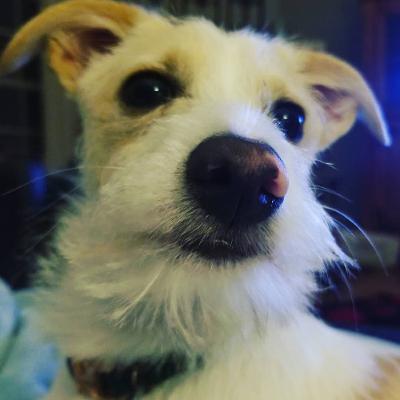 Winstonian Jimothy Jeffers