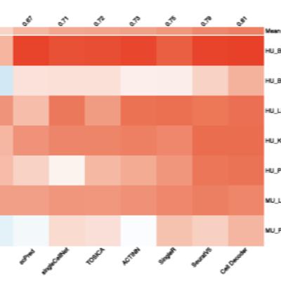 Cell Decoder: decoding cell identity with multi-scale explainable deep learning
