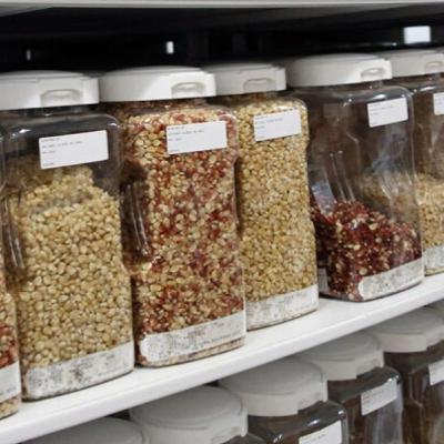 Семена прибыли: мировые тенденции семеноводческой отрасли, часть 1