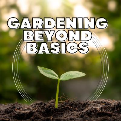 Soil Microarthropods  Gardening Beyond Basics E40 Soil Microarthropods  Gardening Beyond Basics E40