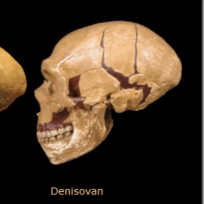 Golden Mountain Temple, 10k Year Old Mummy, 1953 UFO Crash, Shocking Mound Artifacts (full episode)