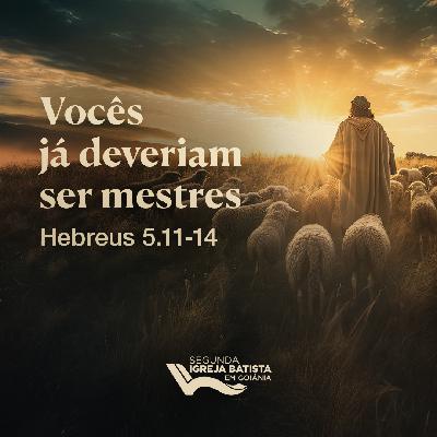 Vocês já deveriam ser mestres