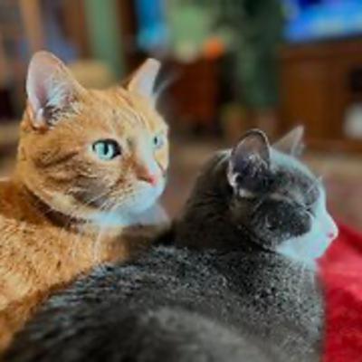 Episode 3047 ChatWSA 12/19/25