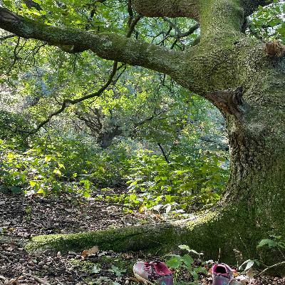 154. Wedded Bliss! A 30th anniversary gift: Stravinsky, Dumbarton Oaks