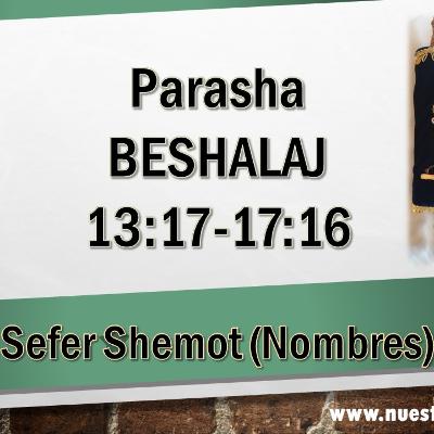 AUDIO DE LA PARASHA 16 BESHALAJ