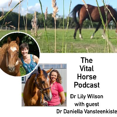 Thorough investigations of horses with Dr Daniella Vansteenkiste Thorough investigations of horses with Dr Daniella Vansteenkiste