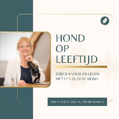 Vinden honden plantaardige voeding eigenlijk wel lekker? Vinden honden plantaardige voeding eigenlijk wel lekker?