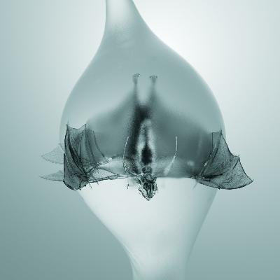 ALBUM REVIEW: Unprocessed - Angel