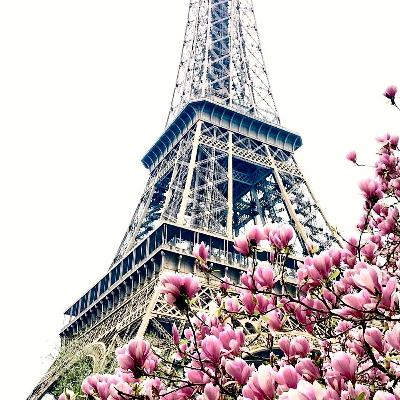 8. Paris romantikens stad del 1.