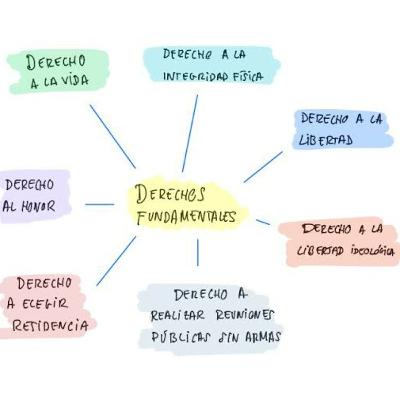 Los derechos básicos. Los derechos básicos.