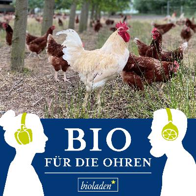 Hähnchen: input putput output