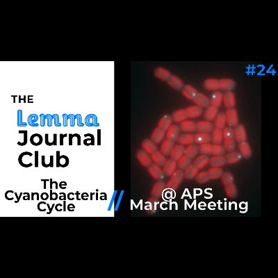 The Cyanobacteria Cycle // @ APS March Meeting [24]