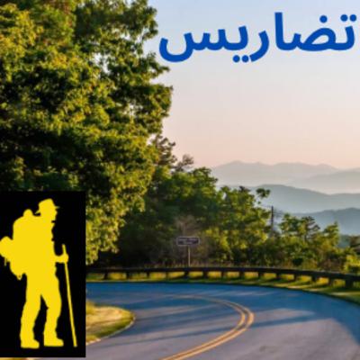 34.سياتل: مدينة الغربة والجمال—الجامعة وتفاصيل متجددة