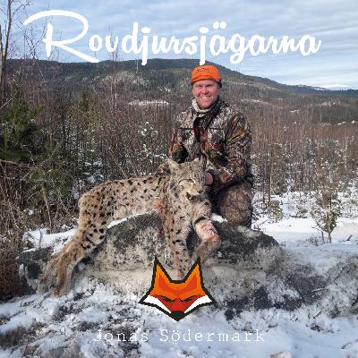 Jonas Södermark - Älghundar och Jaktprov