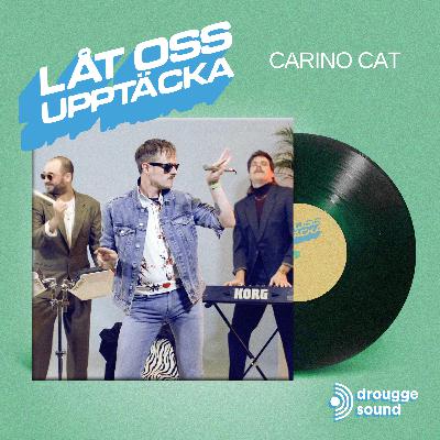 Carino Cat Carino Cat