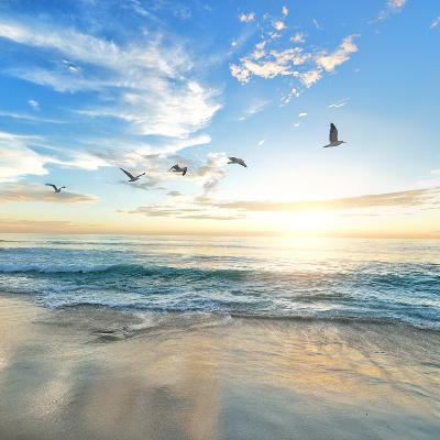 Ocean Waves With Sound Of Seagulls Birds 2 Hours Relaxing Sounds For Sleep, Focus, Study - White Noise