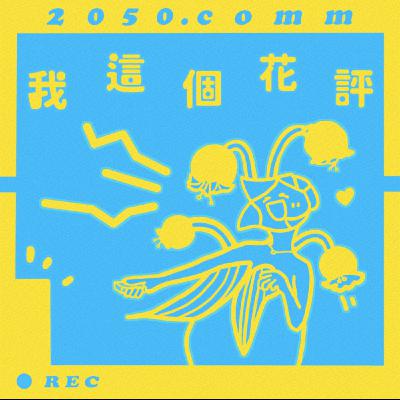 我這個花評#17 從《王后傘下》和《衣袖紅鑲邊》看另一種宮鬥