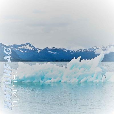 #20 Global oppvarming