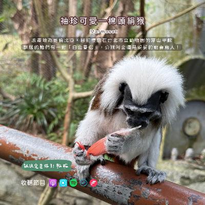 EP89 動物園我來了 🐾 讓飼育員陪你逛動物園 😍 超近距離穿山甲館魔幻大冒險